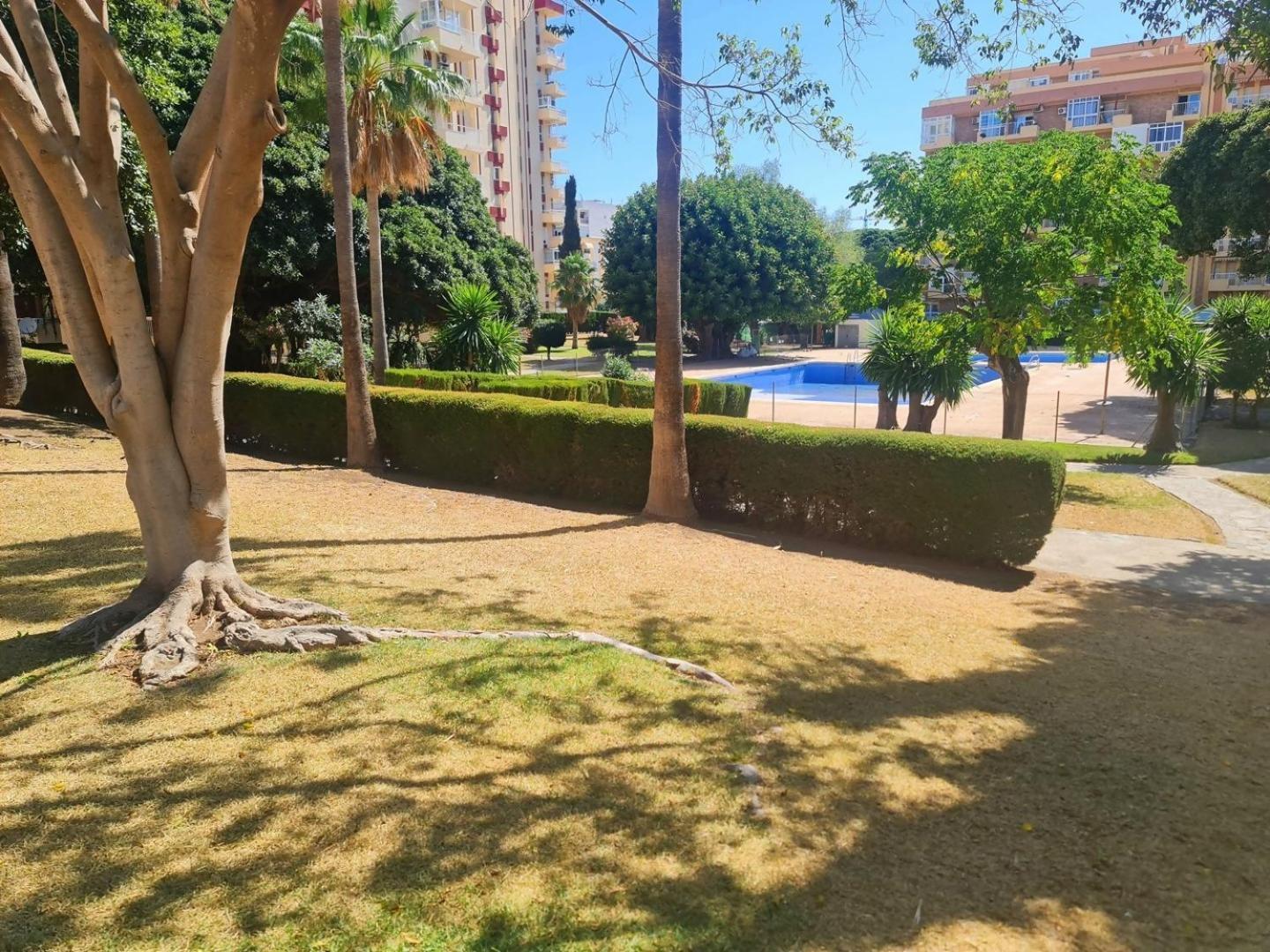 Estudio Aguila Prive Aceptamos Mascotas Benalmádena Dış mekan fotoğraf
